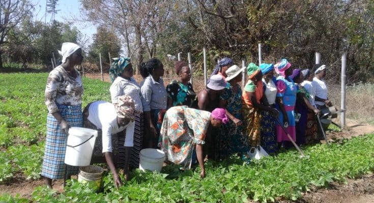 GRASSROOTS WOMEN MOTHERS OF CHILDREN WITH DISABILITY GRAPPLE WITH ADVERSE EFFECTS OF CLIMATE CHANGE