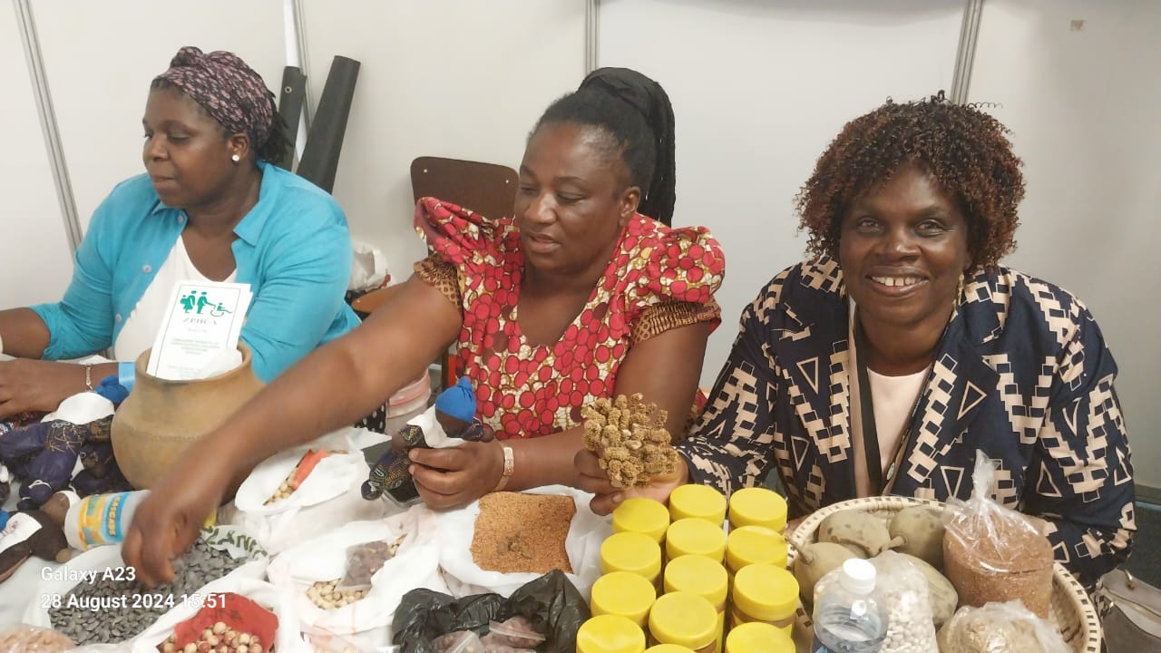 How grassroots women are benefiting from championing the ZPHCA Grassroots Women Resilience Building Livelihoods Projects