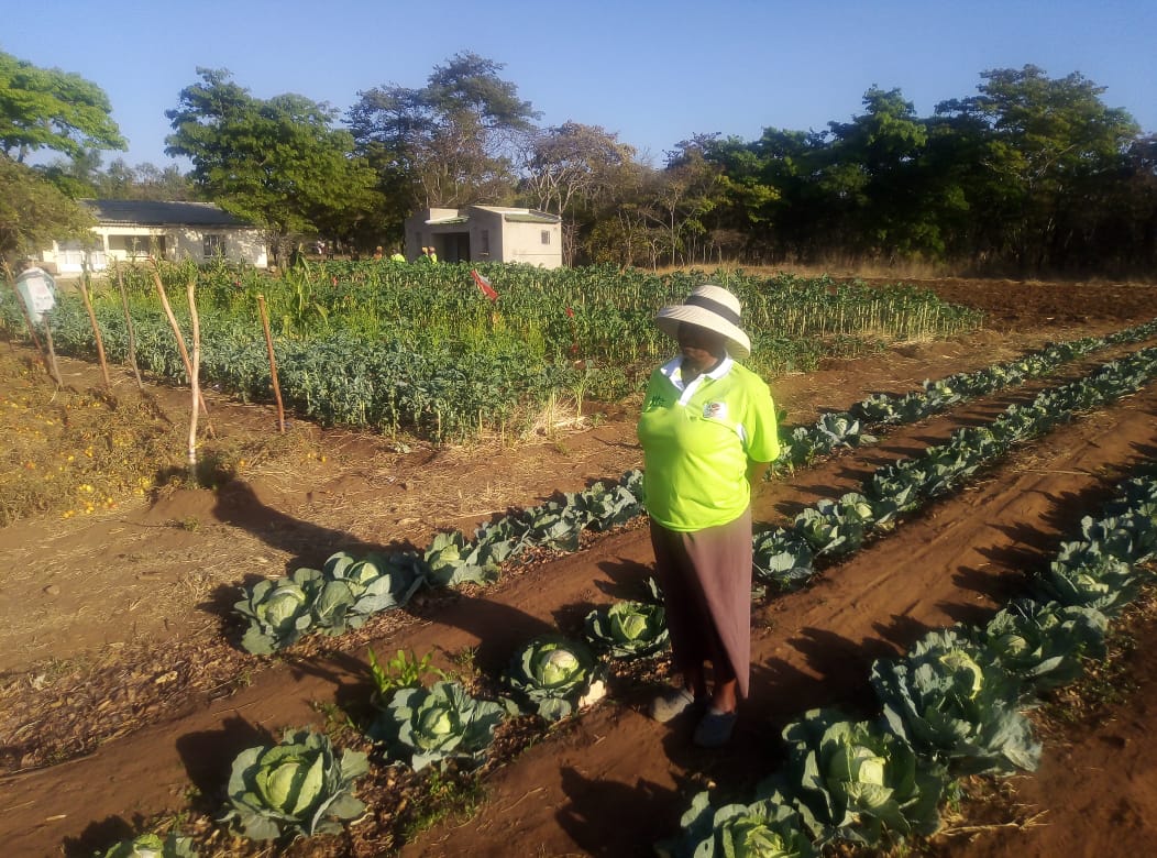 The role played by traditional leaders in allocating land, water and other locally available resources required by Grassroots Women